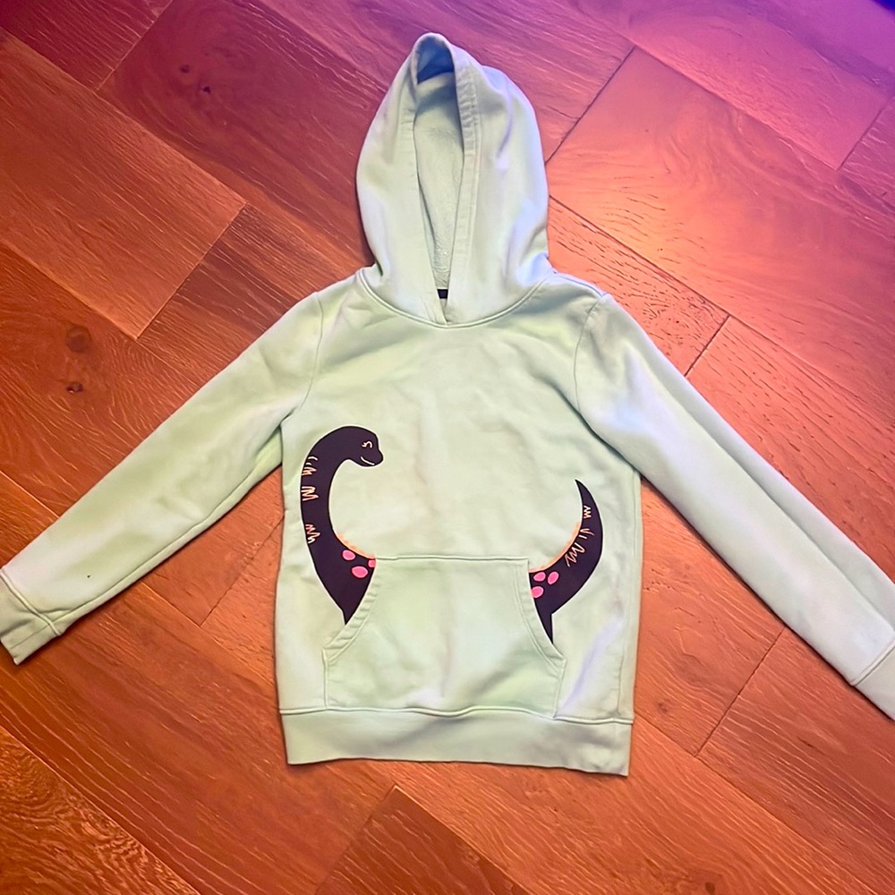 Kids Pastel Dinosaur Hoodie (YM 7/8) No Tags